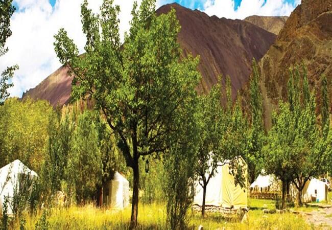 West Ladakh Camp, Leh 3